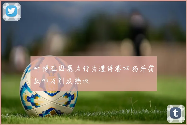 叶博亚因暴力行为遭停赛四场并罚款四万引发热议